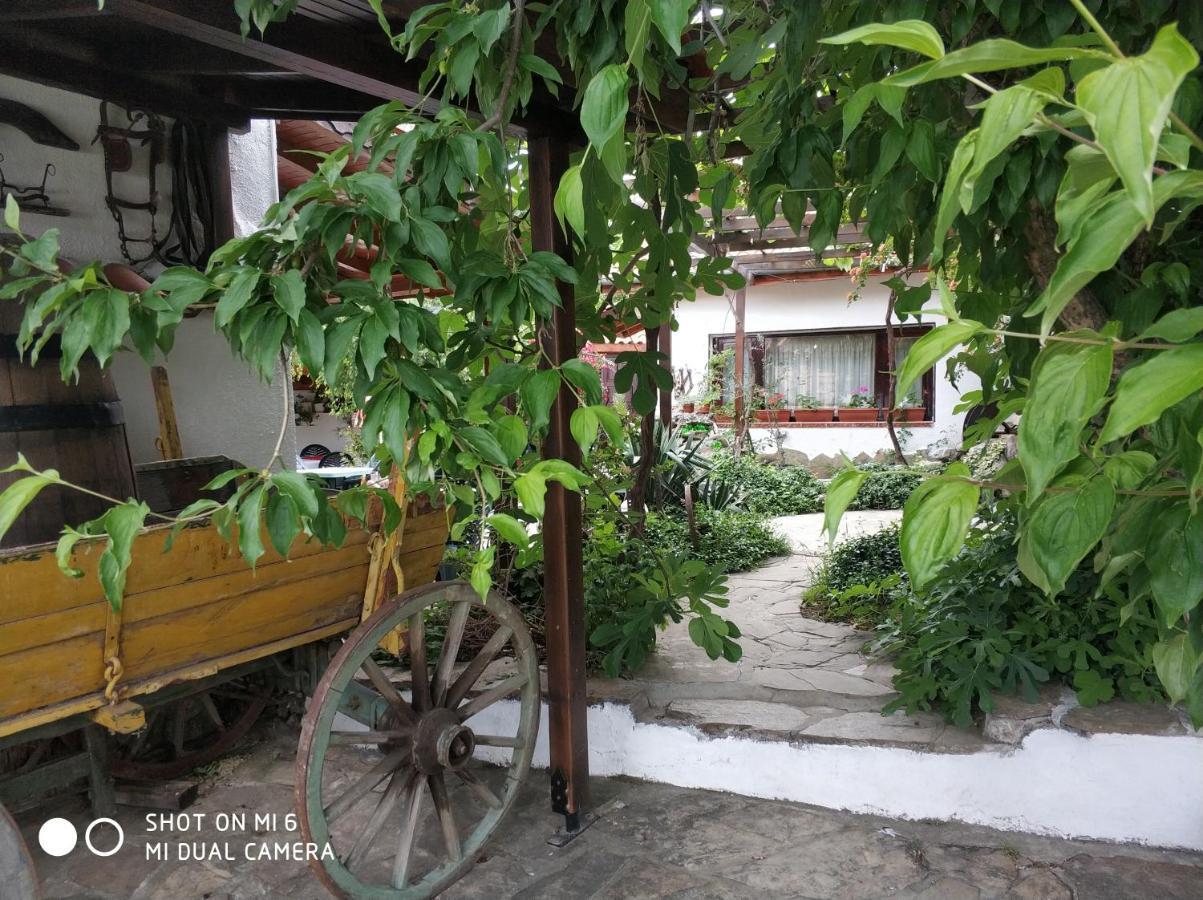 فندق Papanovata House Enina المظهر الخارجي الصورة